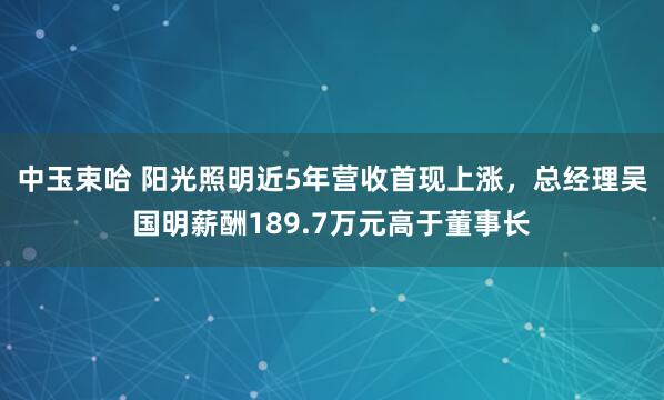 中玉束哈 阳光照明近5年营收首现上涨，总经理吴国明薪酬189.7万元高于董事长