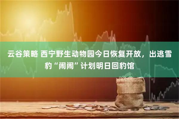 云谷策略 西宁野生动物园今日恢复开放，出逃雪豹“闹闹”计划明日回豹馆