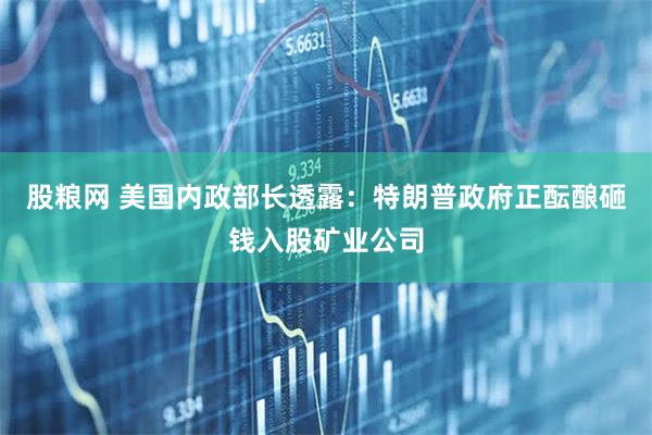 股粮网 美国内政部长透露：特朗普政府正酝酿砸钱入股矿业公司