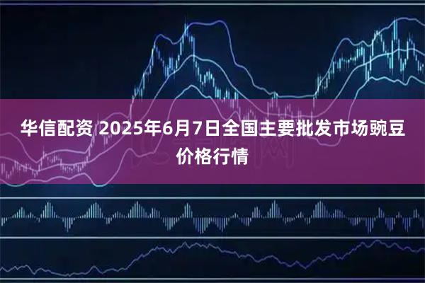 华信配资 2025年6月7日全国主要批发市场豌豆价格行情