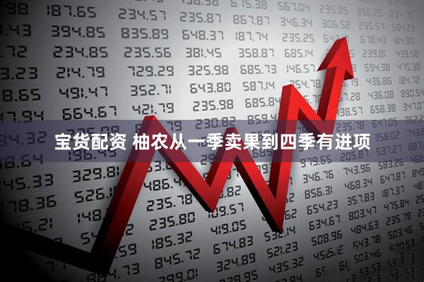 宝货配资 柚农从一季卖果到四季有进项